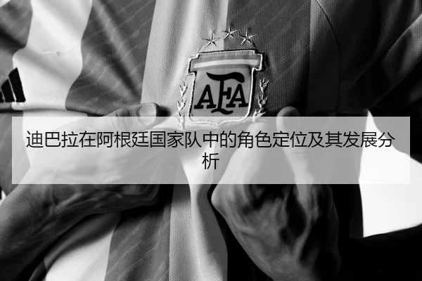 di-ba-la-zai-a-gen-ting-guo-jia-dui-zhong-de-jue-se-ding-wei-ji-qi-fa-zhan-fen-xi-2-488.jpg